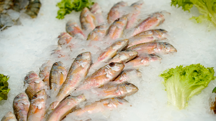 Крупная рыба петербургского пищепрома оказалась на грани банкротства