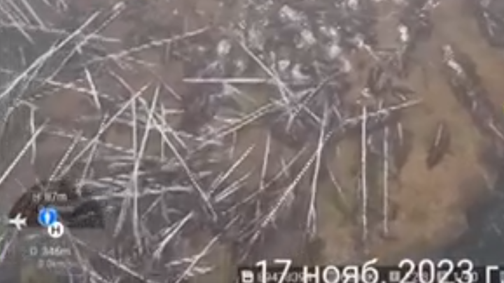 Плакать хочется: кременкульцы показали видео мигрантского рынка и бывшего леса