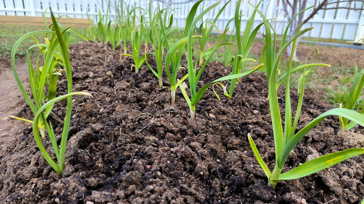 Какой праздник 18 августа 2023 года: традиции и приметы