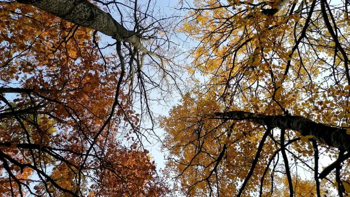Место и причину пропажи семьи Усольцевых назвали в Красноярске