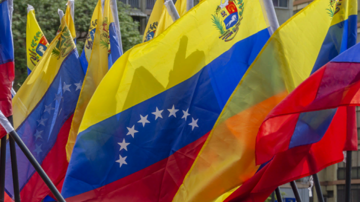 Это большой магнит: Венесуэла захотела стать частью БРИКС - президент