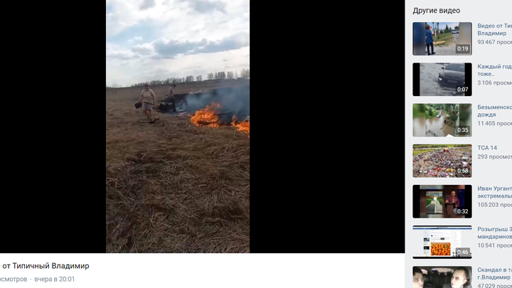 В Петушинском районе от пала травы чуть не сгорел приют для животных «Дом Северной Собаки»