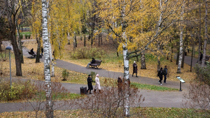 Голову женщины ищут в парке Екатеринбурга