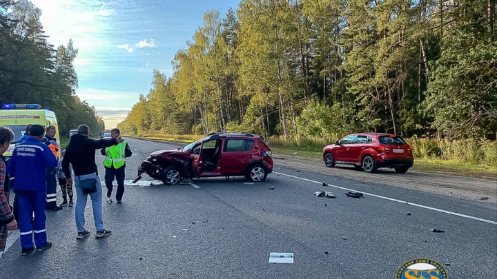 В Камешковском районе в ДТП погиб пенсионер и пострадали два ребёнка