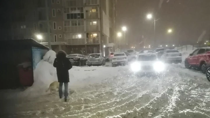 10 декабря в Челябинск вернется потепление, снегопады откладываются