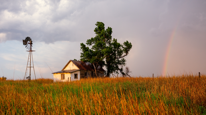 Закон есть закон: Эти новшества коснутся владельцев земли в 2025 году