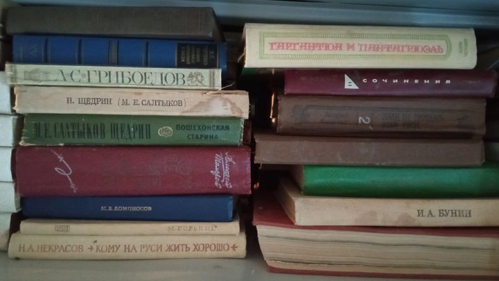 Дети Донбасса получили десять тысяч книг от Ростовской области
