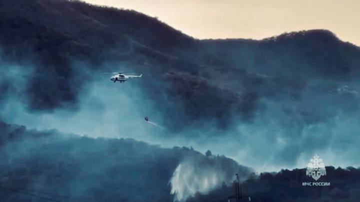 Что известно о пожаре в Геленджике: ситуация в Сафари-парке и округе