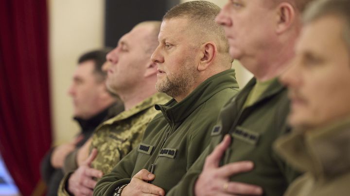 Мухи летают над кормушкой. Захарова расставила всё по местам в ситуации с отставкой Залужного