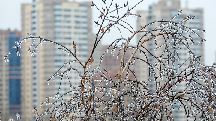Известны подробности состояния девочки из Подмосковья, уснувшей на несколько дней. Комментарий врача