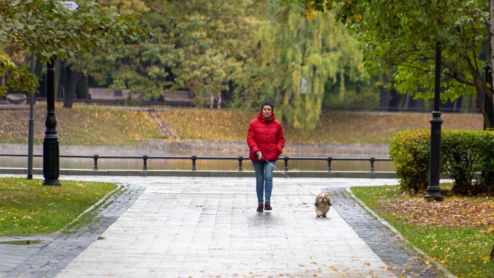 Москвичи смогут получить призы за названия улиц, площадей и скверов