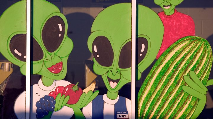 Сантан-тари-ту-ту!: Эксперт по пришельцам забыла космический язык