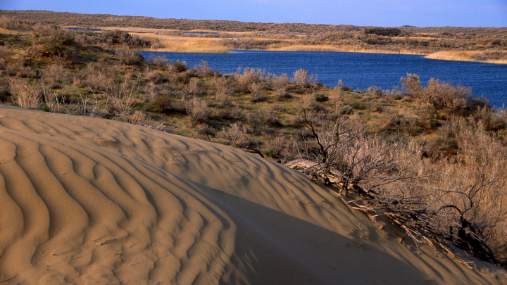 Треть населения планеты превратится в беженцев: Климатолог назвал предвестника катастрофы