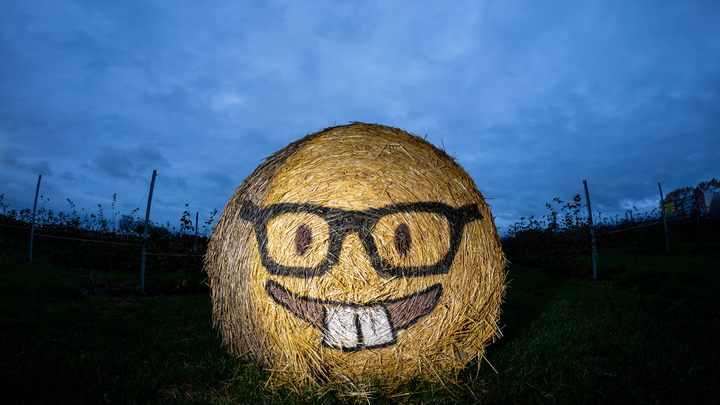 Подпись смайликом: Канадский фермер проиграл дело, поставив палец вверх