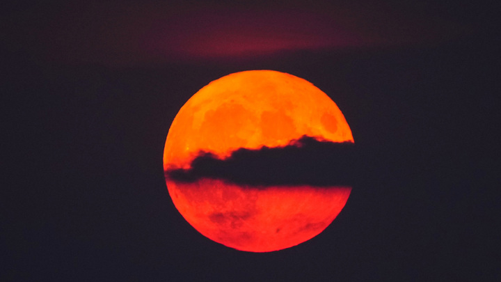 Чёрное зеркало уже реальность? Искусственный интеллект предупредил о провокациях на 2024 год