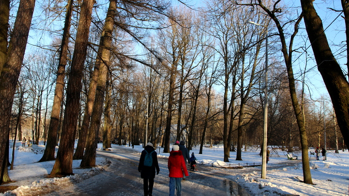 Первые звоночки. Весна несёт в себе глобальные проблемы - обратите внимание на здоровье