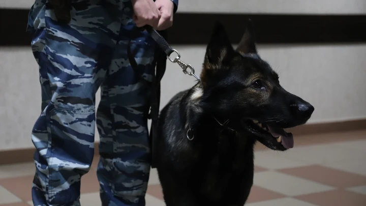 Сообщили о минировании: в Архангельске эвакуировали административное здание