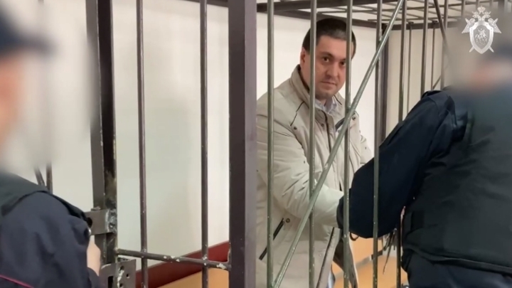 Кислотный маньяк из Монино отправлен до июня за решетку - что о нем известно