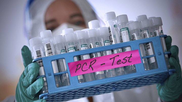 Русские учёные разработали метод точного определения омикрона