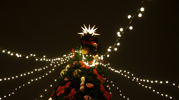 Глава запорожского Минтранса подарит юной жительнице региона ноутбук