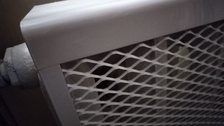 Экономию на тепле в бундестаге превратили в фарс: депутат терпеть не стала