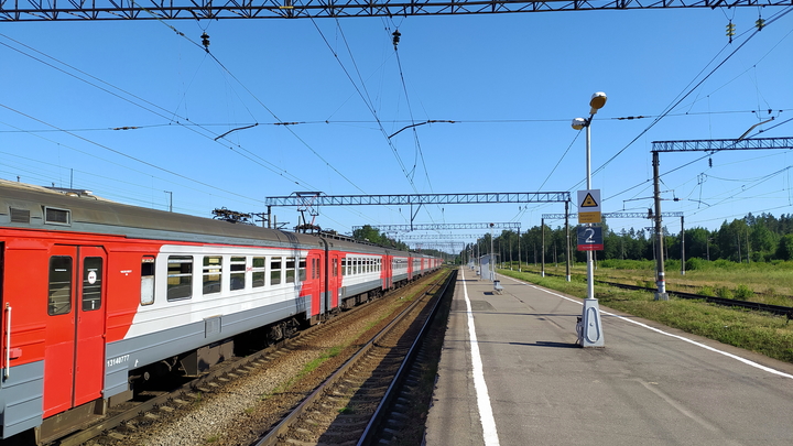 После массового отравления детей в поезде Мурманск - Адлер назначены экспертизы