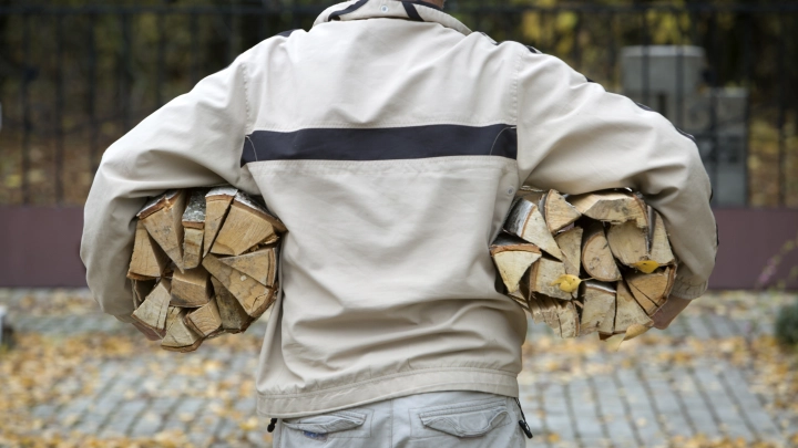 Минлеспром Поморья назвал сроки подачи заявок на приобретение древесины