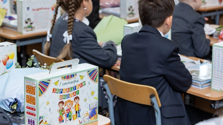 12 лет в школе - безумие: как ненужные уроки убивают рождаемость