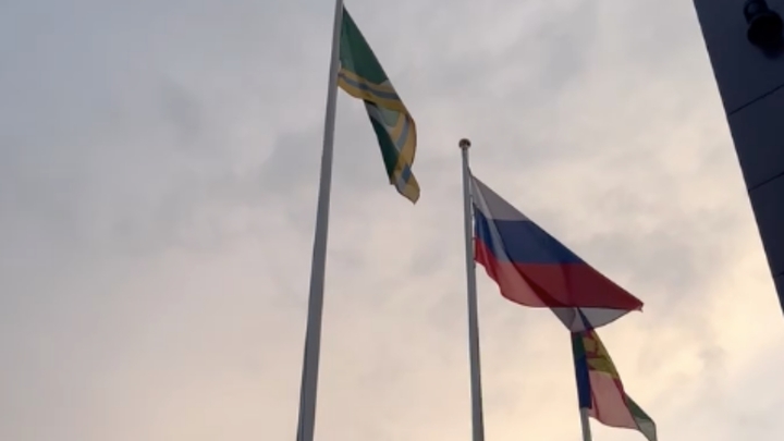 Сломанные деревья и оборванные провода: власти Крымского района прогнозируют ЧС из-за сильного ветра