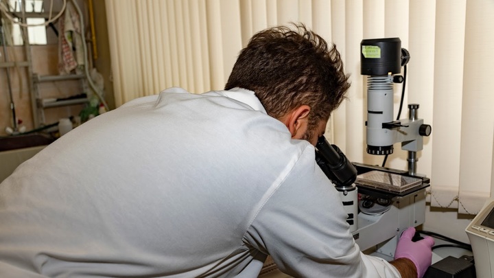 Данные из Уханя, которых никто никогда не видел: В ВОЗ похвалились находкой