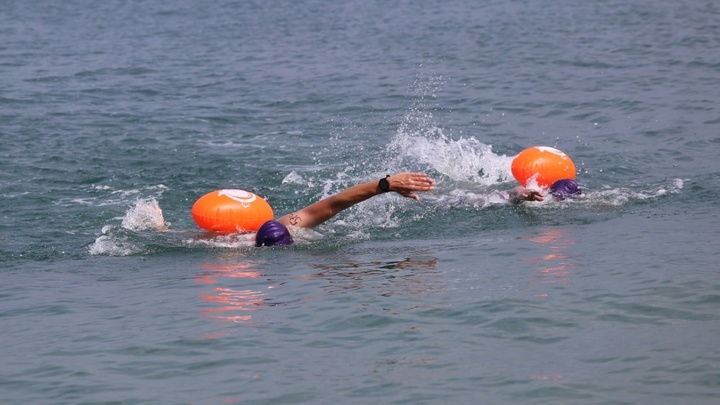В Геленджике впервые за два года состоялся заплыв Морская миля
