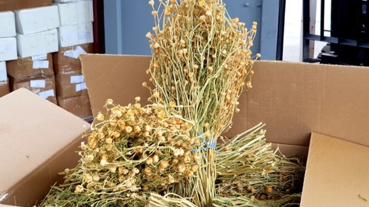 В Новороссийске задержан контейнер из Узбекистана с тонной наркосодержащей травы