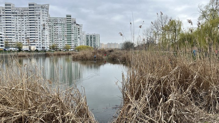 Благоустройство Карасунов задерживается: мэрия расторгла контракт с подрядчиком