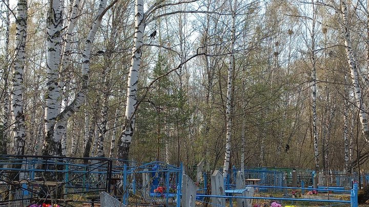 Кузбассовцы жалуются в соцсетях на кладбищенских вандалов