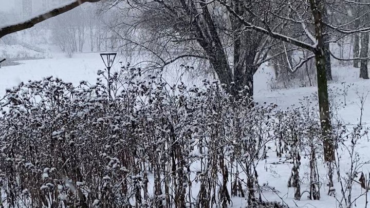Две опасности из-за снегопадов: Для Москвы выпустили экстренное предупреждение