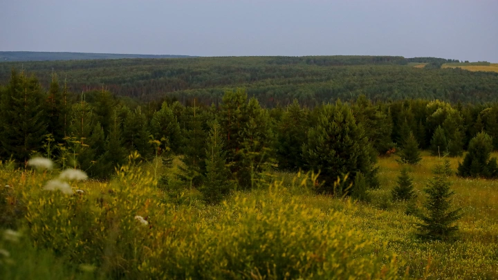 Новый поворот: Союз туриндустрии оценил вести о том, что Усольцевых видели в Таиланде