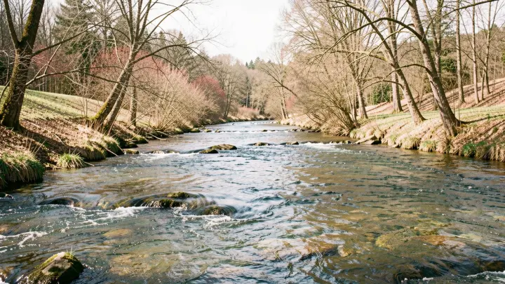Одесса может остаться без воды. На Днестре появилась масляная пленка