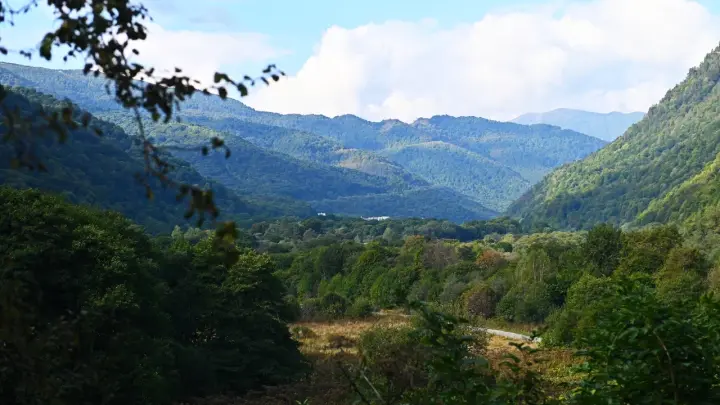 Перебои со светом и хачапури за тысячу: почему русские бегут из Грузии