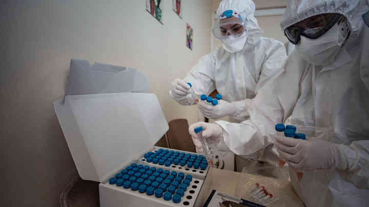 Антитела токсичны? Патолог рассказала, в чём главная опасность новой вакцины от коронавируса