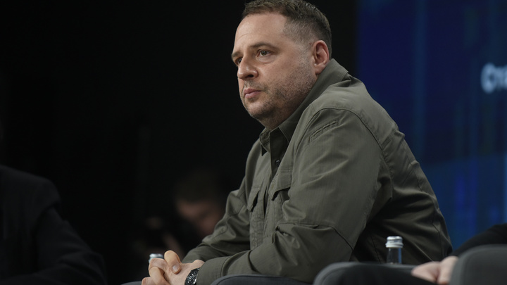 Подпольные операционные в прифронтовых городах: Следы чёрных трансплантологов на Украине ведут к Ермаку