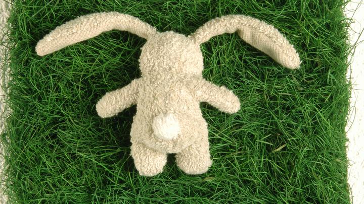 Вместо Я люблю тебя - взрыв. Украинские солдаты заминировали плюшевого зайца при отходе