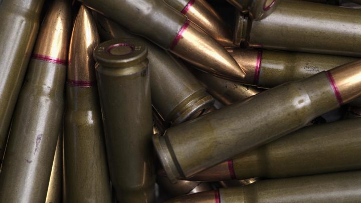Под Чаплинкой обнаружили два тайника с боеприпасами