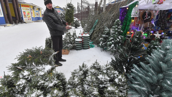 До -22 °С: На Кубань придут сибирские морозы