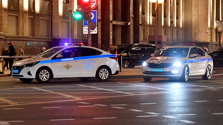 Жители Новосибирска вызвали полицию из-за пляшущего белого медведя
