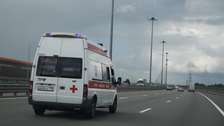 Фура и легковушка столкнулись лоб в лоб в Ленобласти: есть погибший