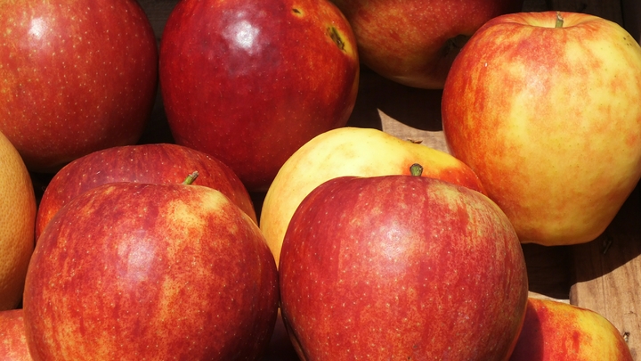 Железо из яблок не усвоится организмом, если их не приготовить правильно. Как? Рассказала врач
