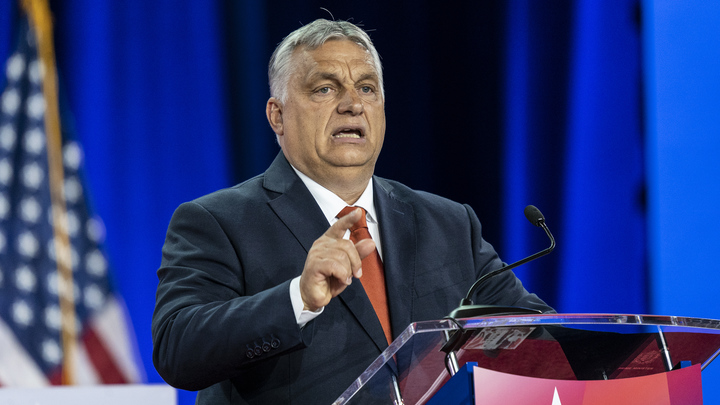 НАТО создаст для Украины три крупные военные базы: Венгрия не стала молчать