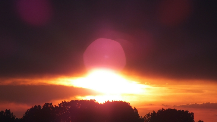 Масло вместо майонеза: К каким продуктам проявить особую внимательность в жару, объяснила врач