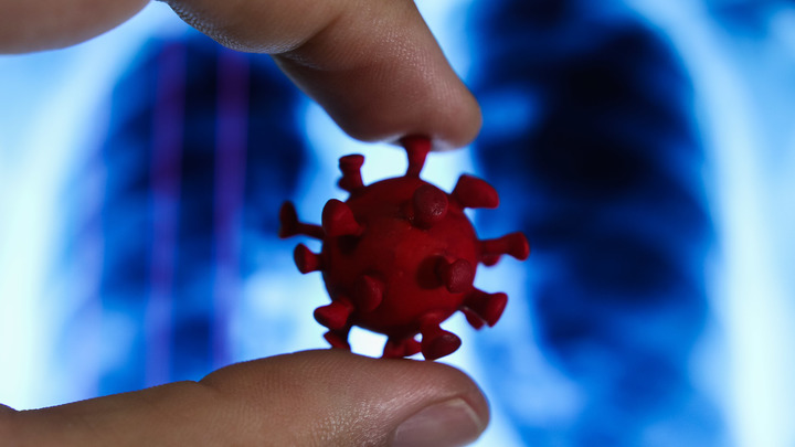 COVID-19 выявил удивительное свойство иммунитета. Врачи в недоумении