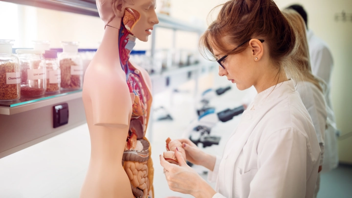 Молодёжь в больницы не идёт. Факт надо признать: Врач сказал о большой проблеме России